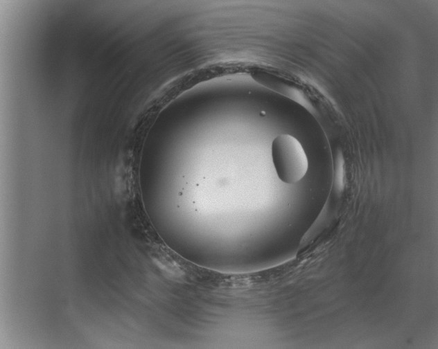 X0000070210968200605261248