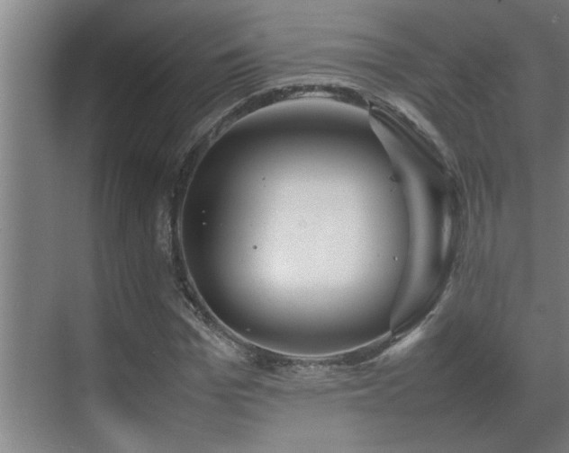 X0000070210969200605261248