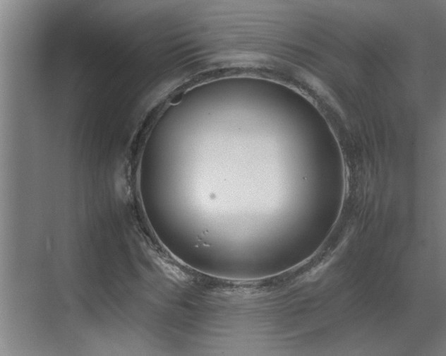 X0000070210970200605261248