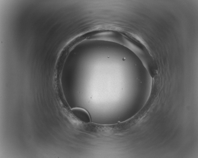 X0000070210971200605261248