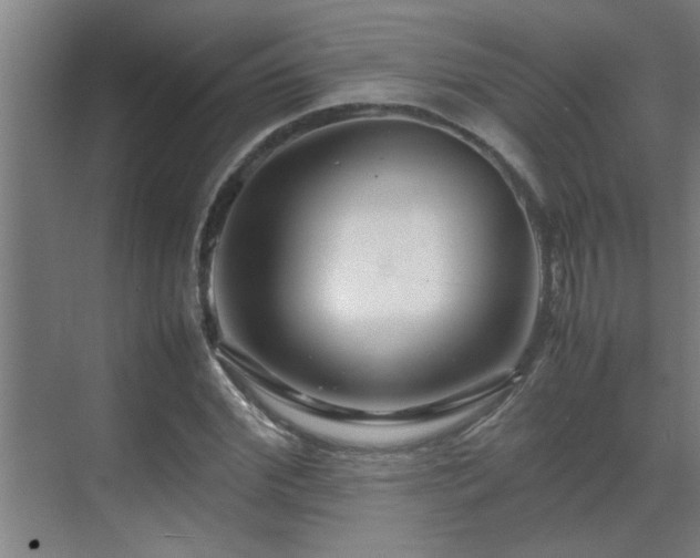 X0000070210972200605261248