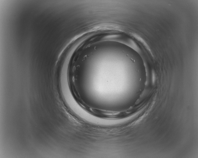 X0000070210973200605261248