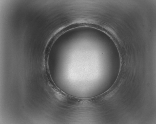 X0000070210974200605261248