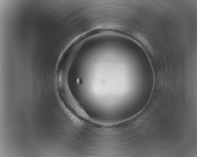 X0000070210976200605261248