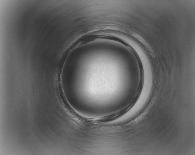 X0000070210977200605261247