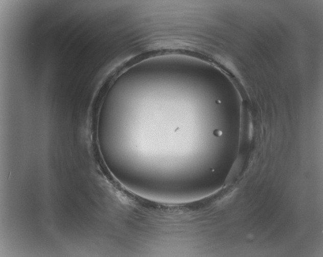 X0000070210979200605261247