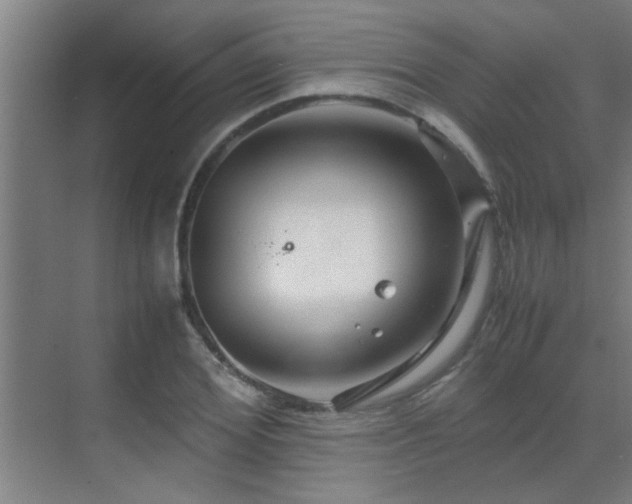 X0000070210980200605261247