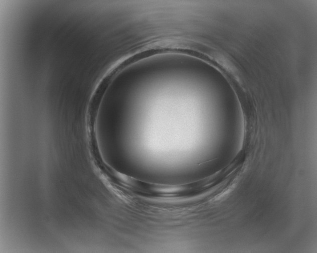 X0000070210981200605261247