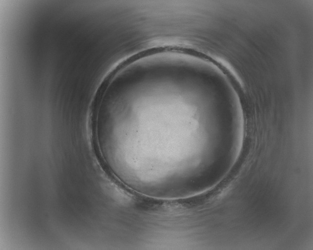 X0000070210983200605261247