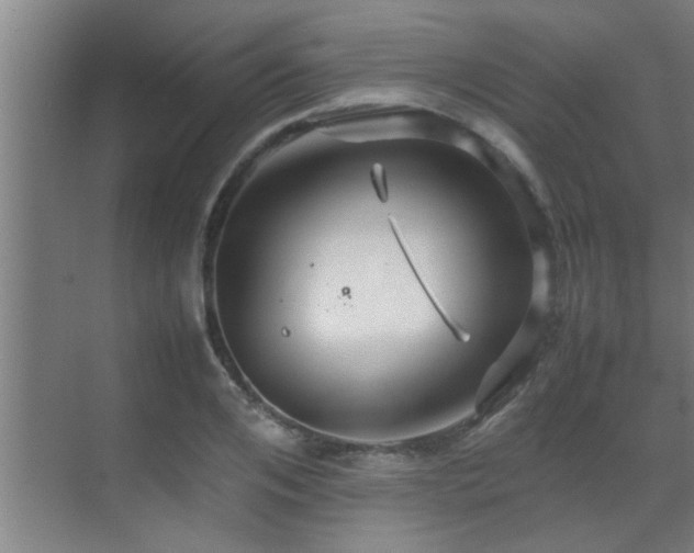 X0000070210984200605261247