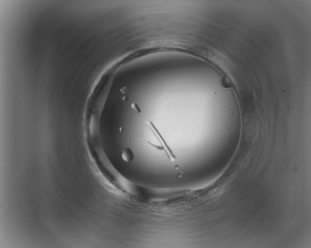 X0000070210987200605261247