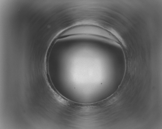 X0000070210988200605261247