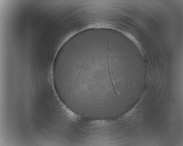 X0000070210990200605261247