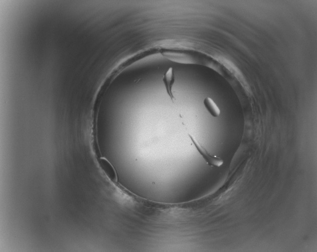 X0000070210992200605261247