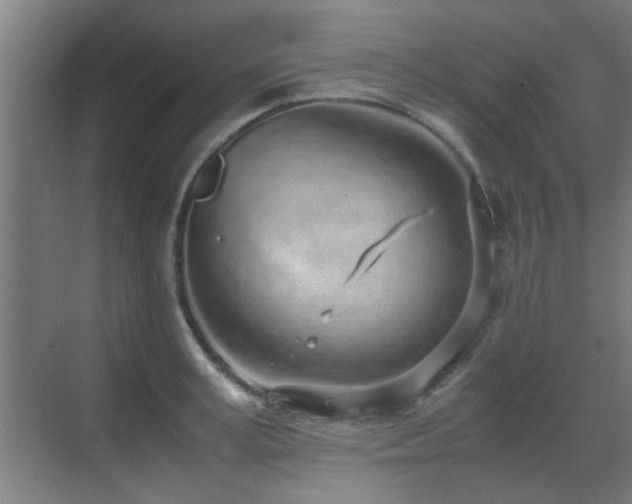 X0000070210995200605261247