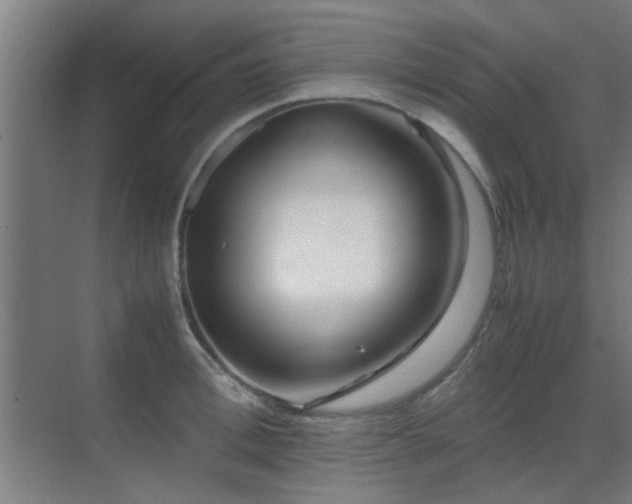 X0000070210996200605261247