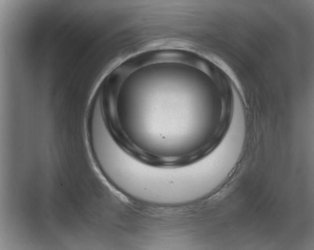 X0000070210997200605261247