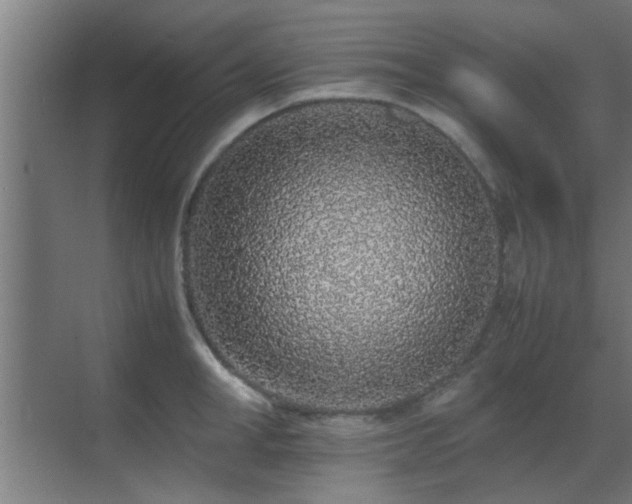 X0000070210998200605261247