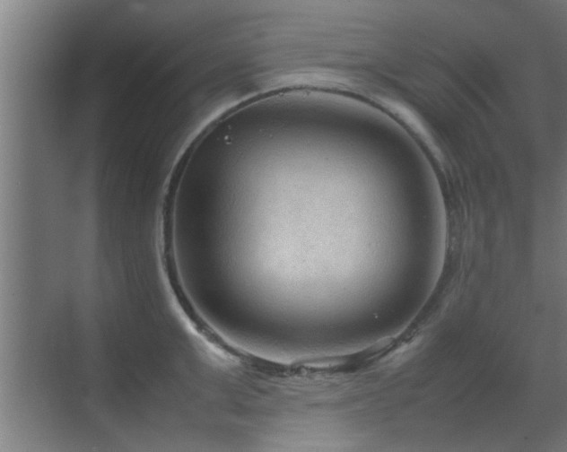 X0000070210999200605261247