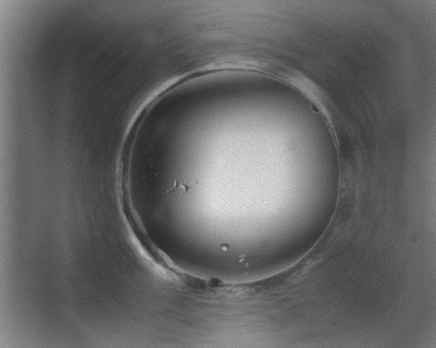 X0000070211003200605261247