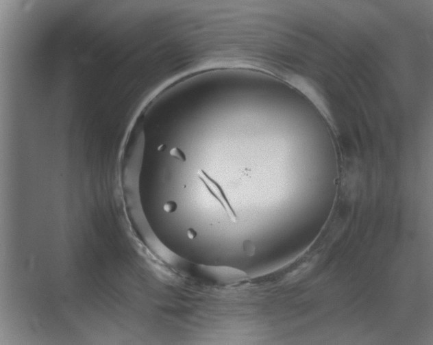 X0000070211004200605261247