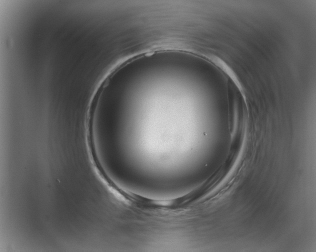 X0000070211005200605261247