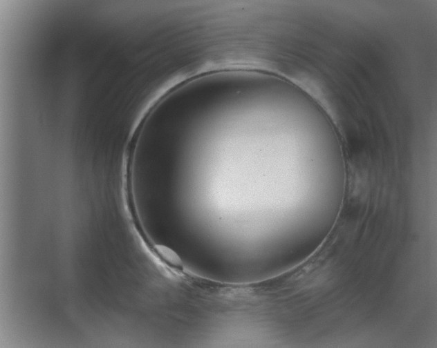 X0000070211006200605261247