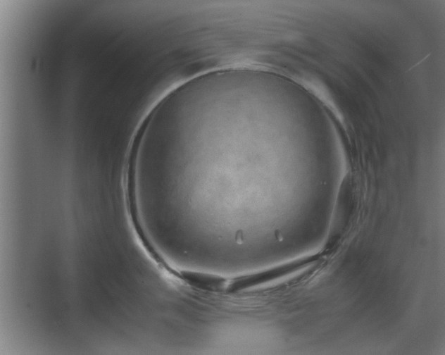 X0000070211007200605261247