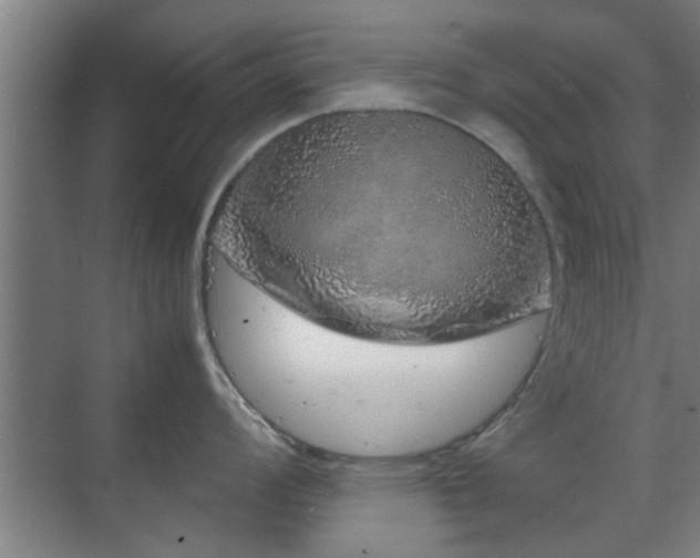 X0000070211008200605261247