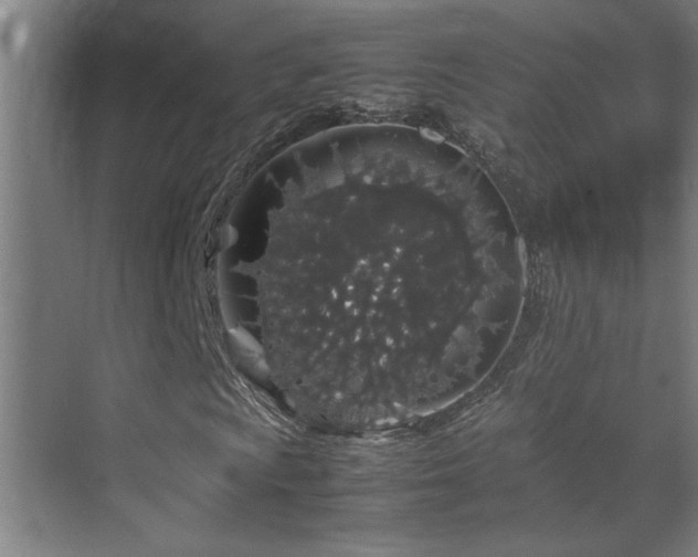 X0000070211009200605261246