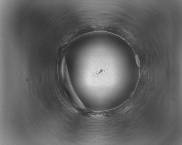 X0000070211012200605261246