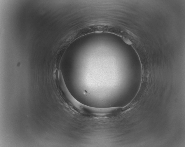 X0000070211014200605261246