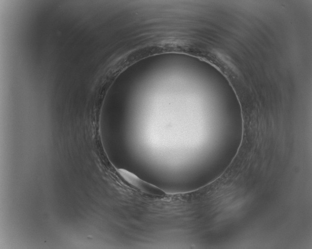 X0000070211015200605261246