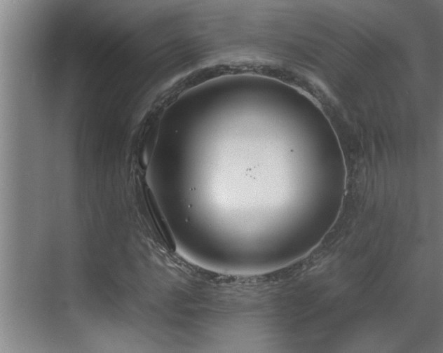 X0000070211016200605261246