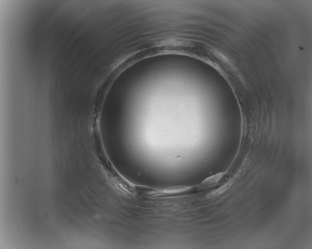 X0000070211017200605261246