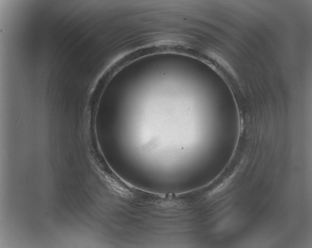 X0000070211021200605261246