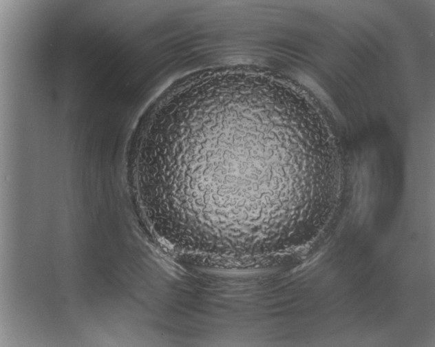 X0000070211023200605261246