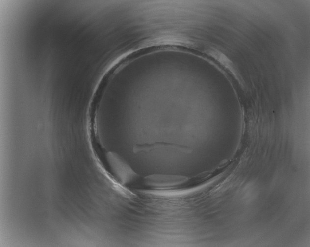 X0000070211024200605261246