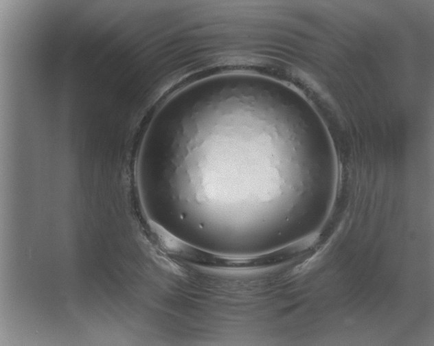 X0000070211025200605261246