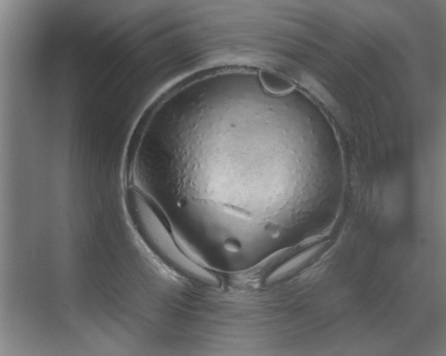 X0000070211028200605261246