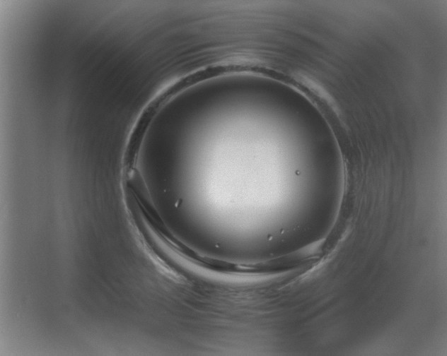 X0000070211029200605261246