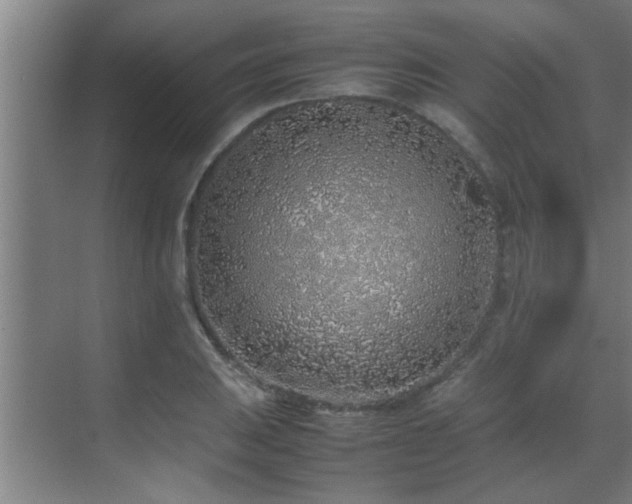 X0000070211031200605261247