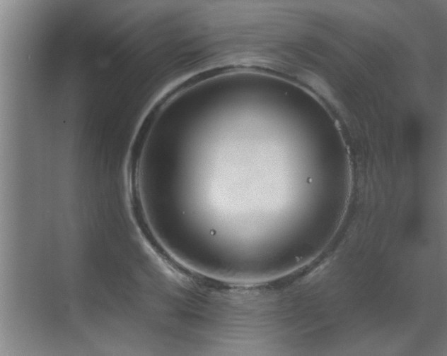 X0000070211032200605261247