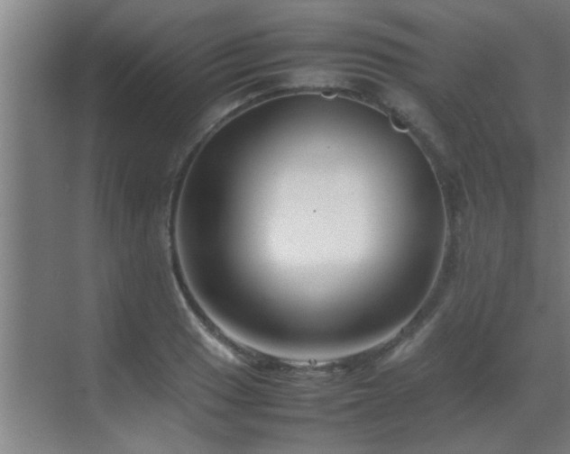 X0000070211033200605261247