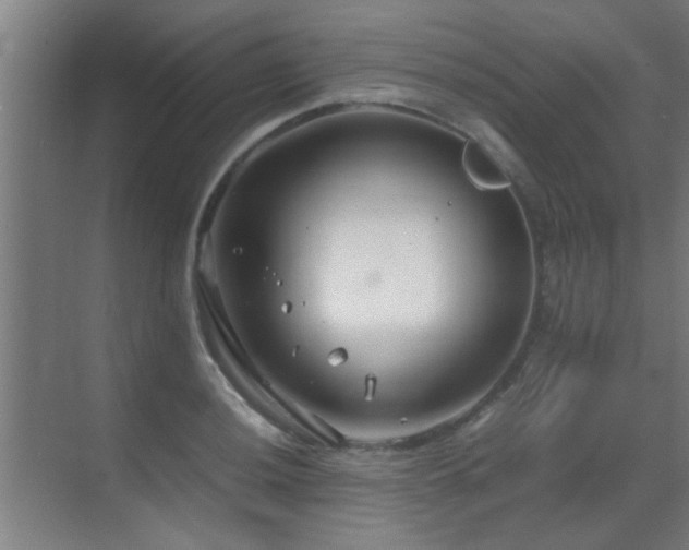 X0000070211036200605261247