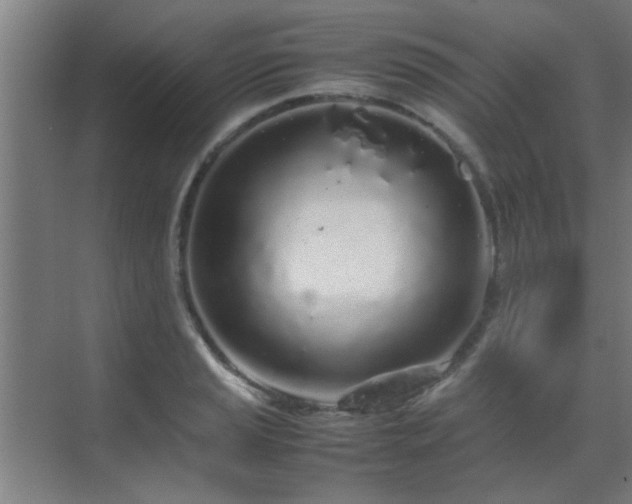 X0000070211037200605261247