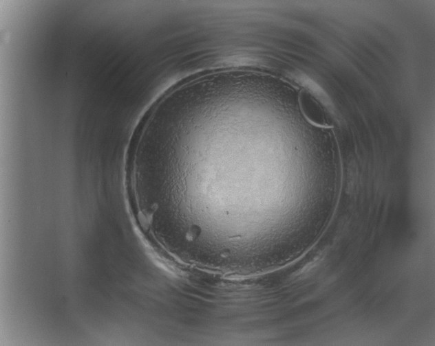 X0000070211039200605261247