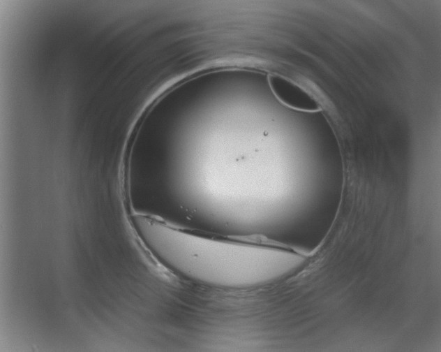 X0000070211044200605261247