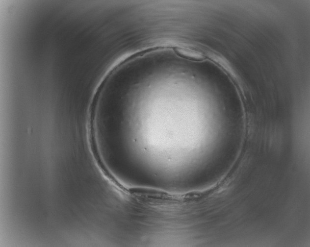 X0000070211048200605261247