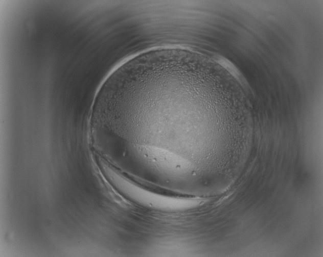 X0000070211052200605261247